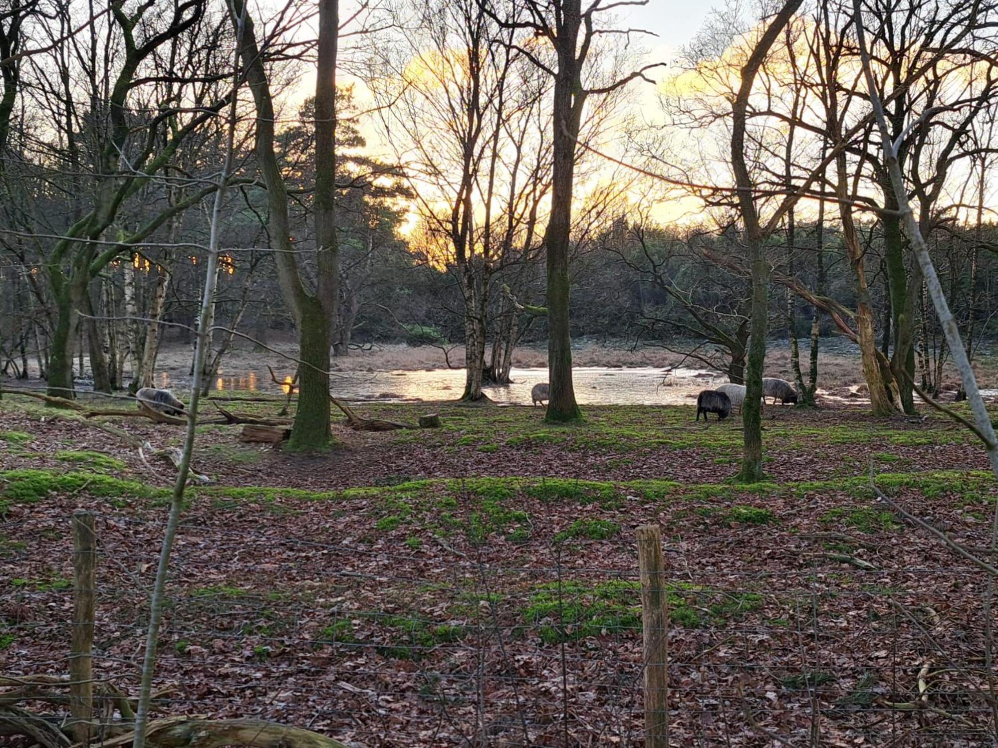 Natuurhuisje Meppen Exteriér fotografie