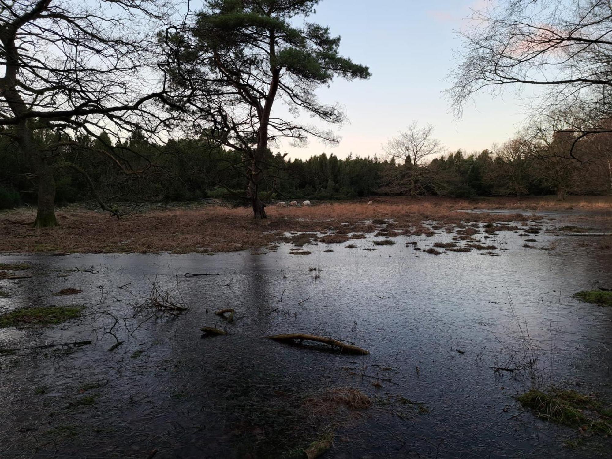 Natuurhuisje Meppen Exteriér fotografie