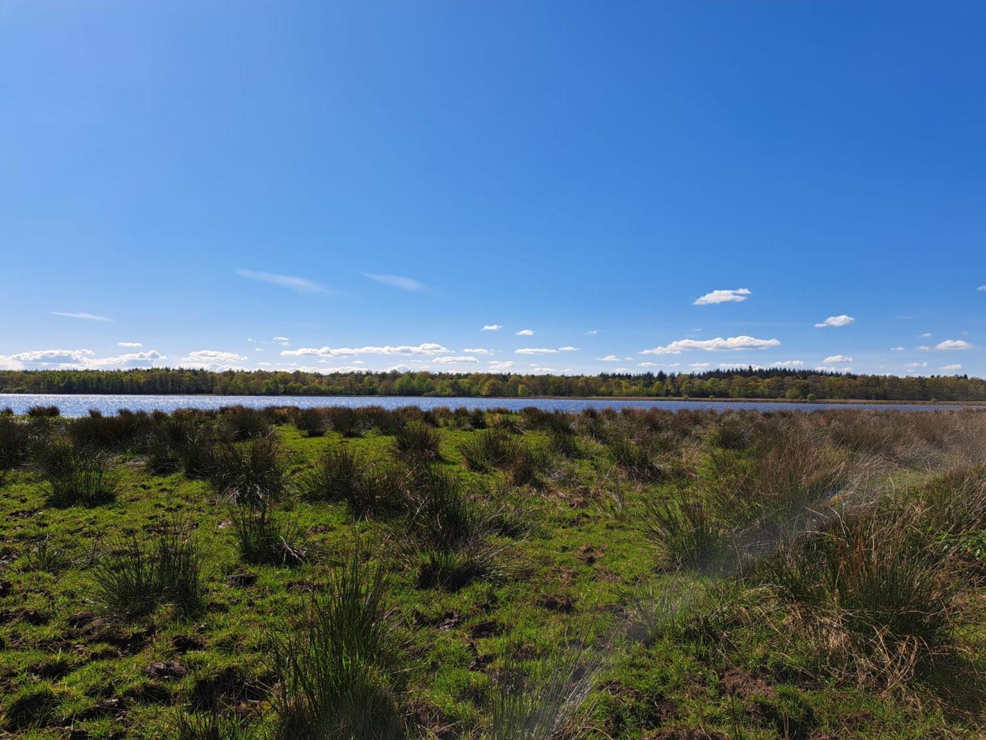 Natuurhuisje Meppen Exteriér fotografie