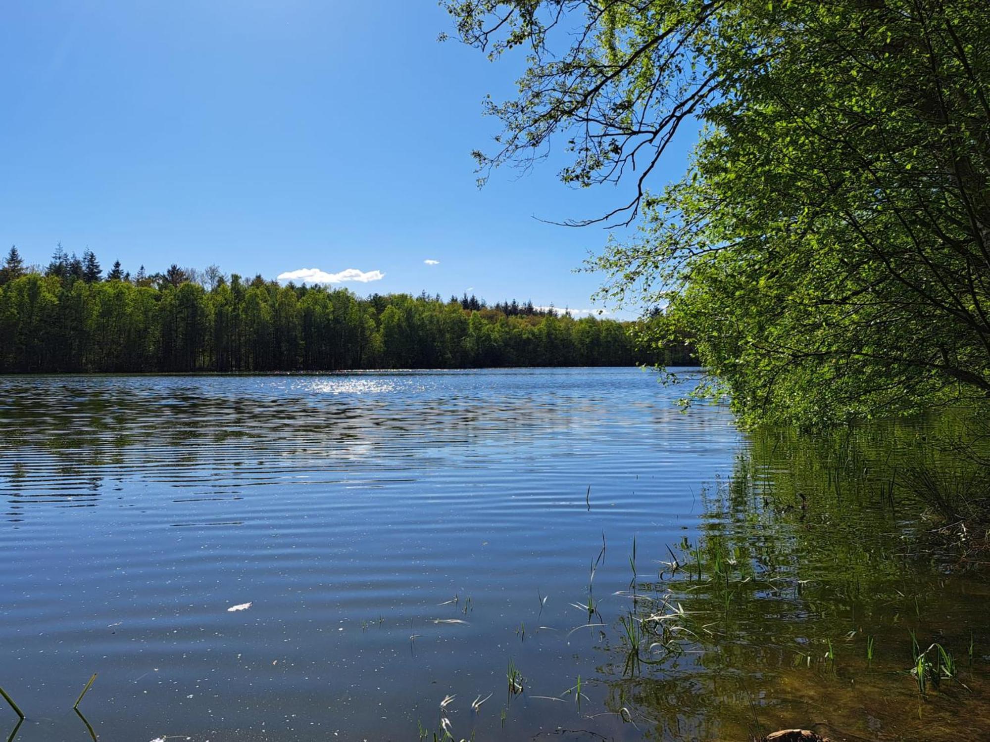 Natuurhuisje Meppen Exteriér fotografie
